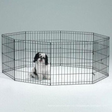 Открытый Безопасности Металлическая Собака Работает Забор